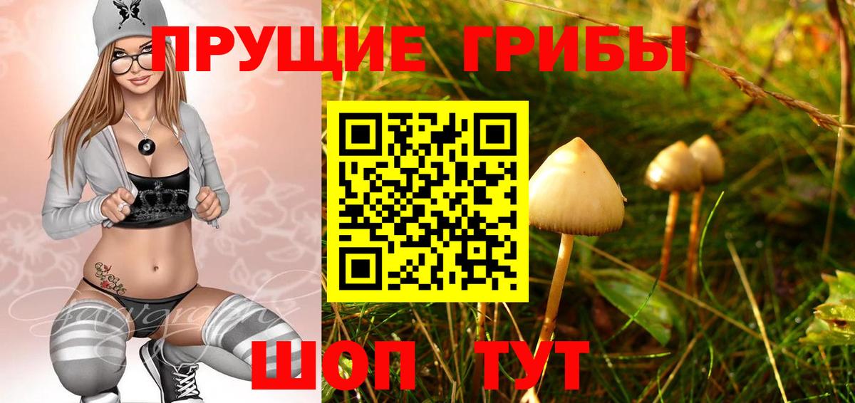 Псилоцибиновые грибы Psilocybine cubensis  Псилоцибиновые грибы прущие грибы  Вход с VPN  наркошоп  Шелехов 